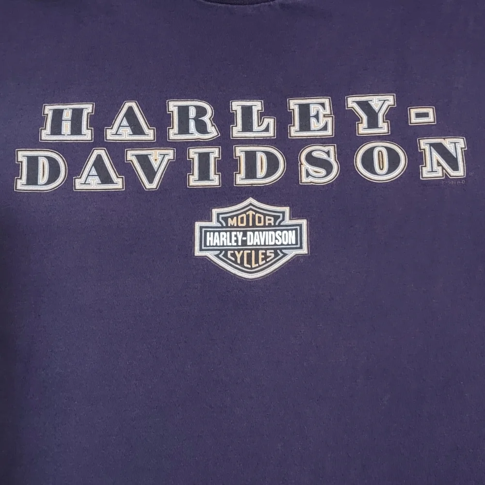 Vintage Harley Davidson 1999‎ Sturgis Black Hills Rally 2 Sided Shirt Men’s L